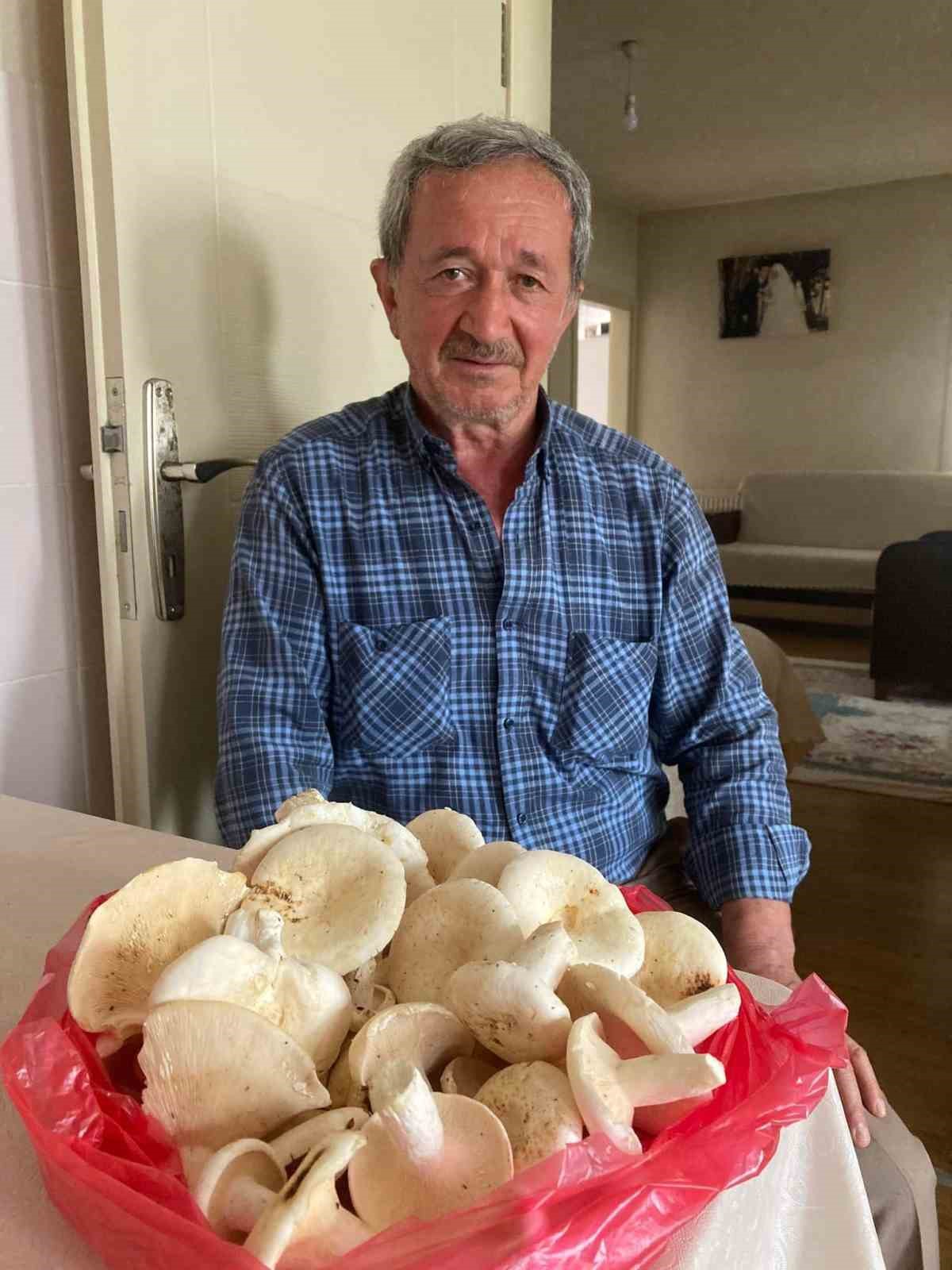 Devrilen traktörün altında kalan adam, hayatını kaybetti