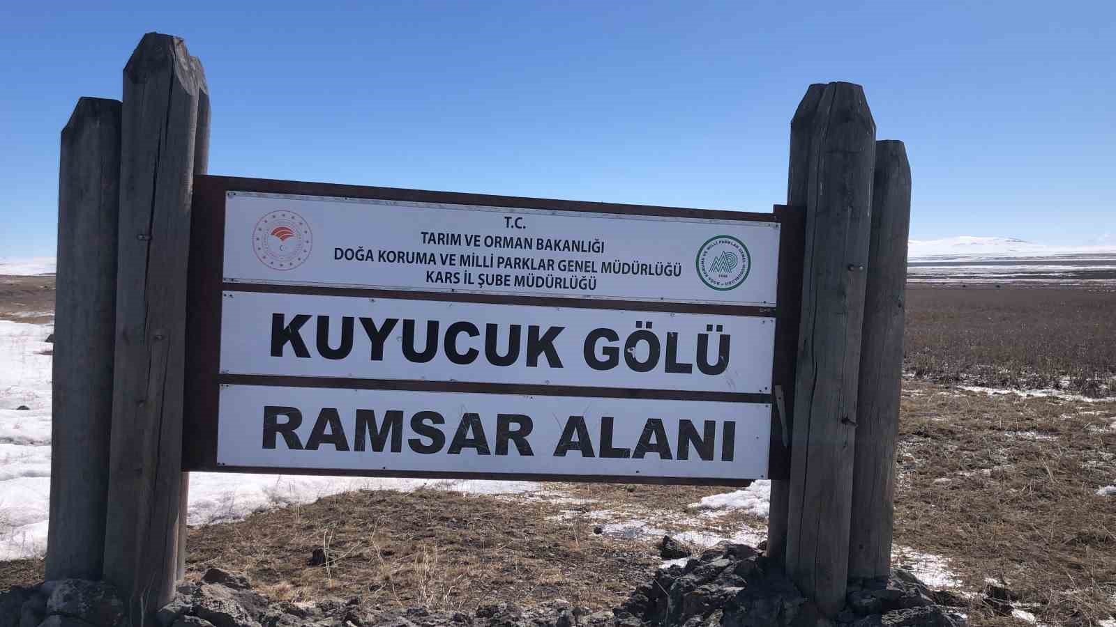 Kars Kuyucuk Kuş G&ouml;l&uuml; bataklığa d&ouml;nd&uuml;
