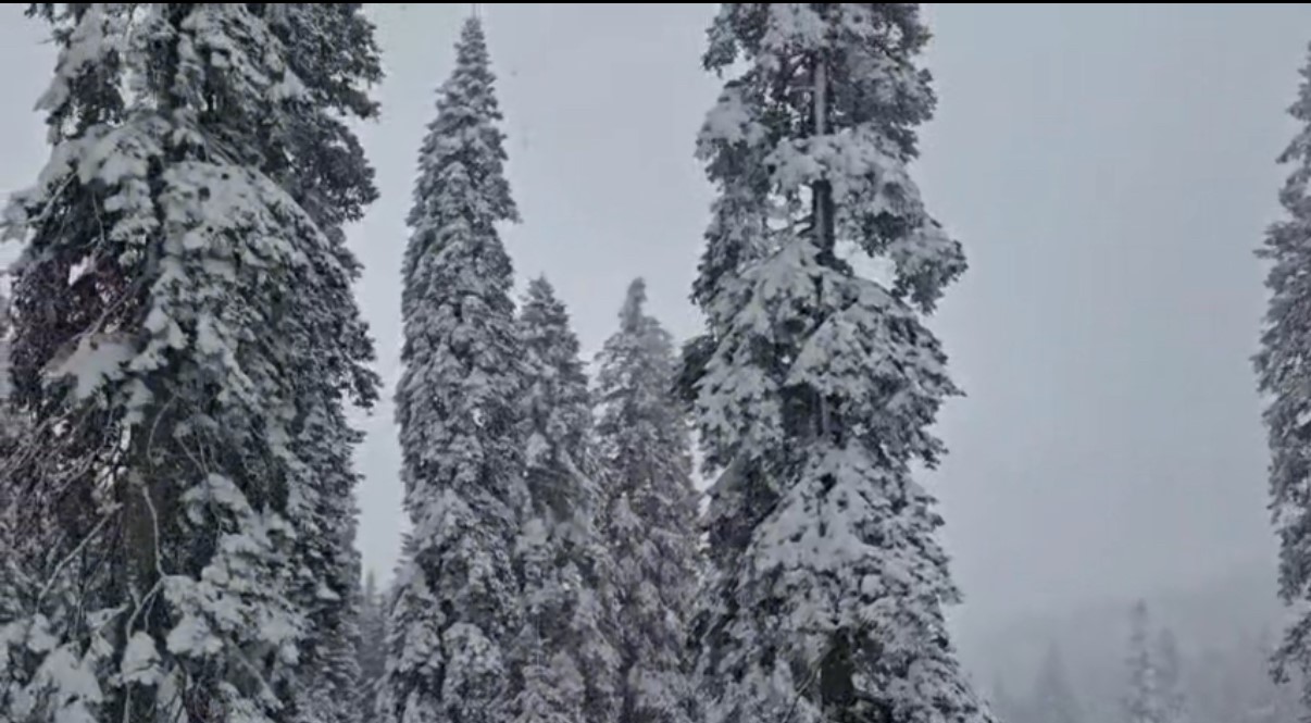 Düzce’nin yüksek kesimleri beyaza büründü