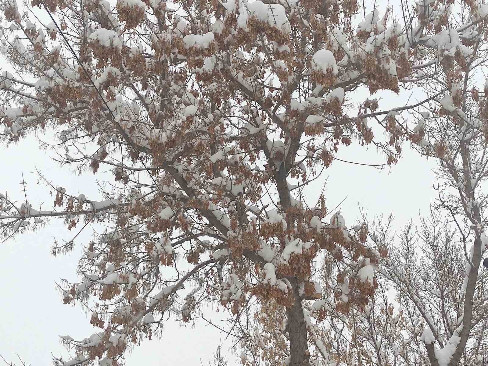 Ardahan’da kartpostallık kar görüntüleri