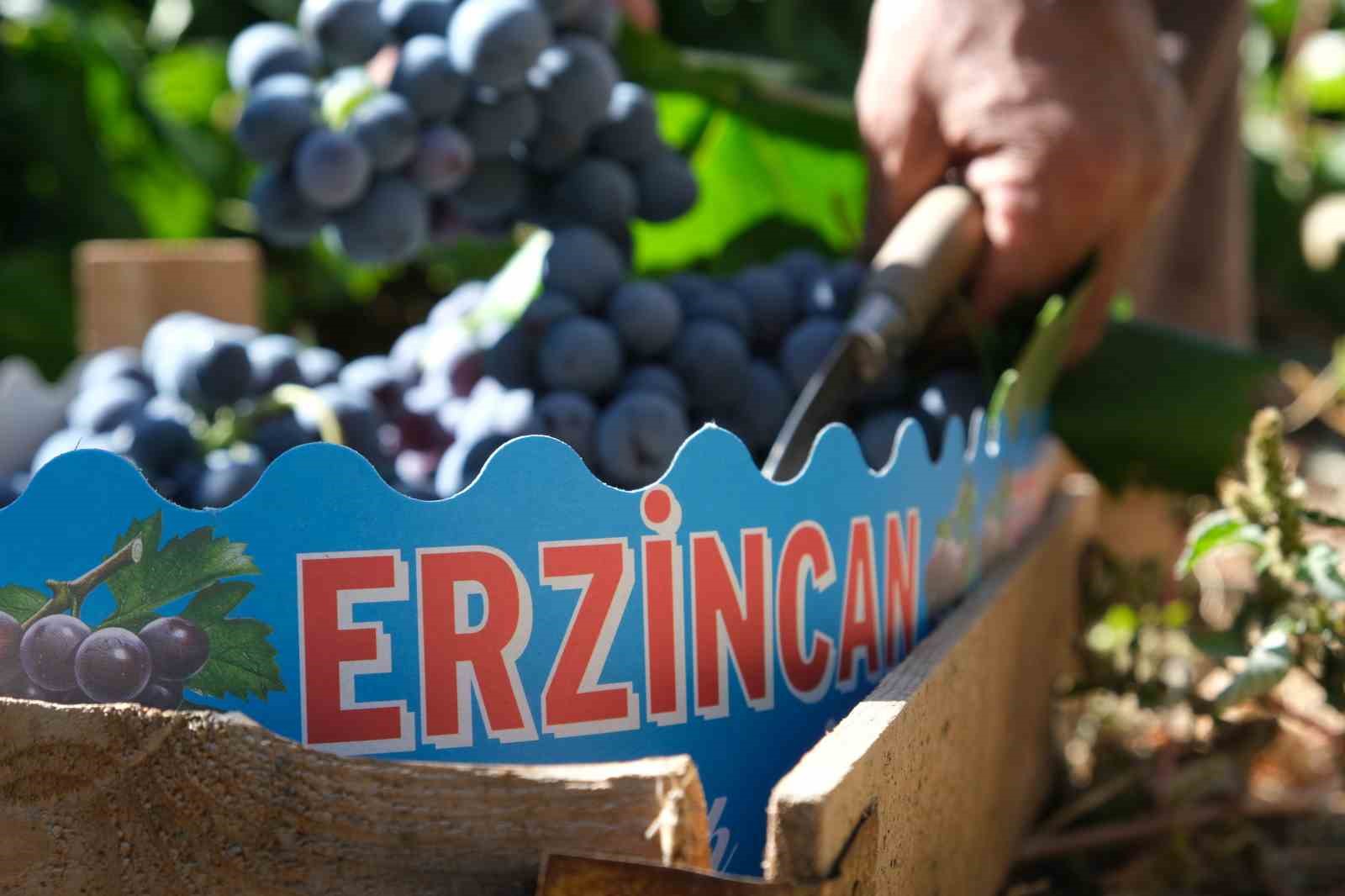 Tarımsal girdi fiyat endeksi yıllık yüzde 30,49 arttı