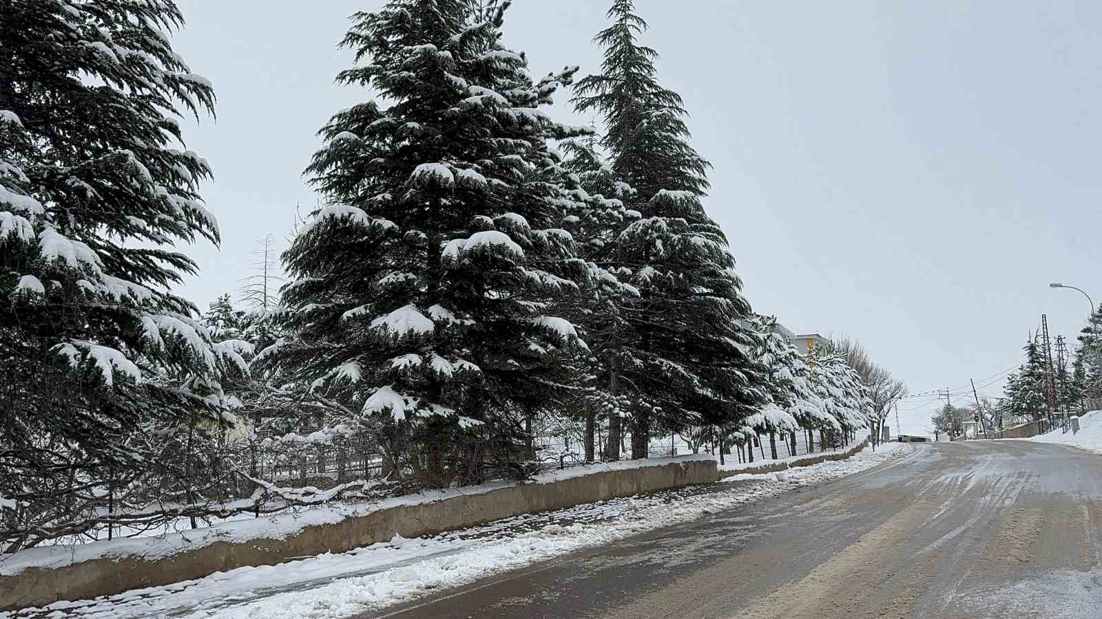Adana’nın Tufanbeyli ilçesinde kar etkili oldu