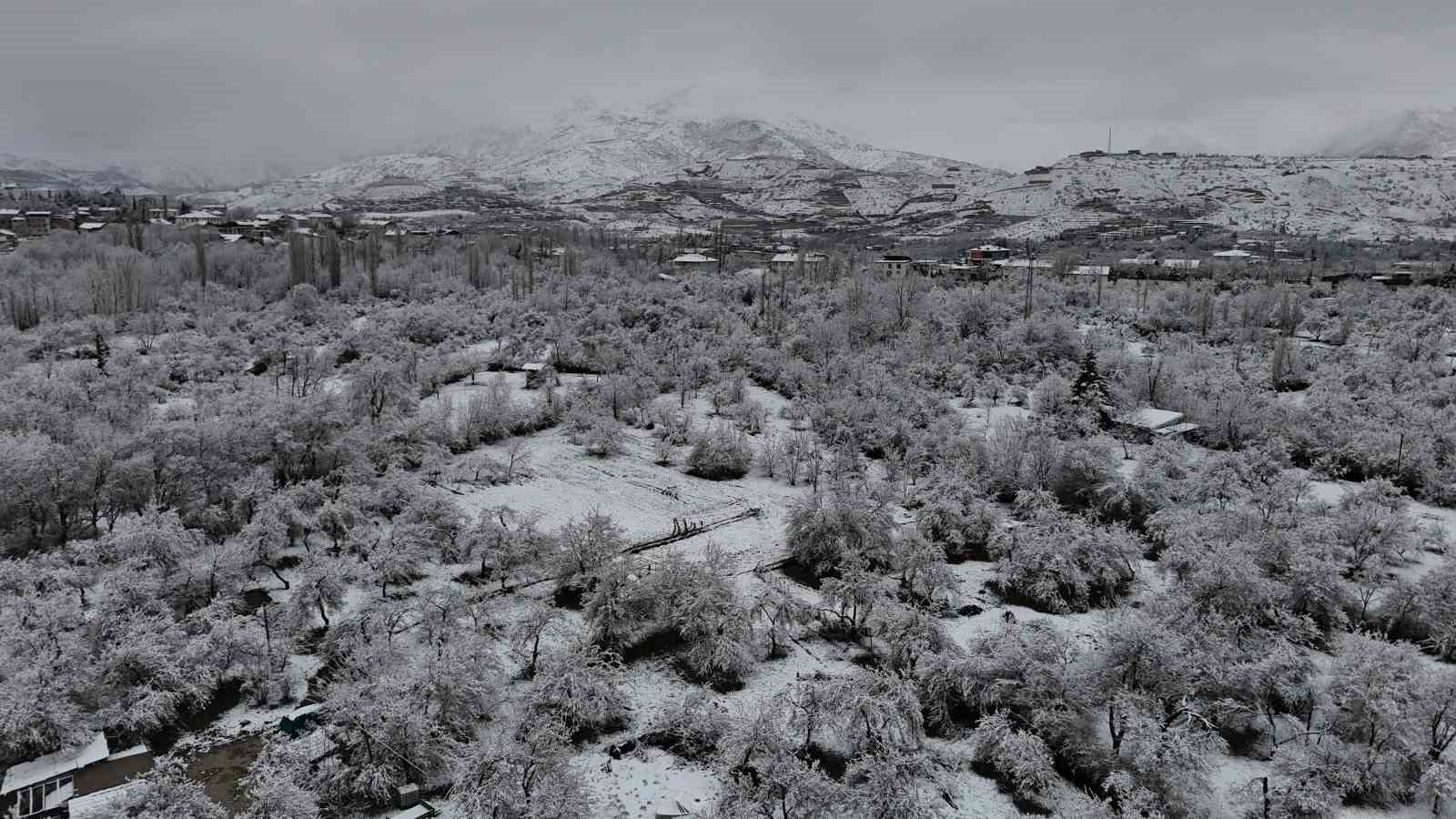 Malatya’da kayısı bahçeleri don tehlikesiyle karşı karşıya
