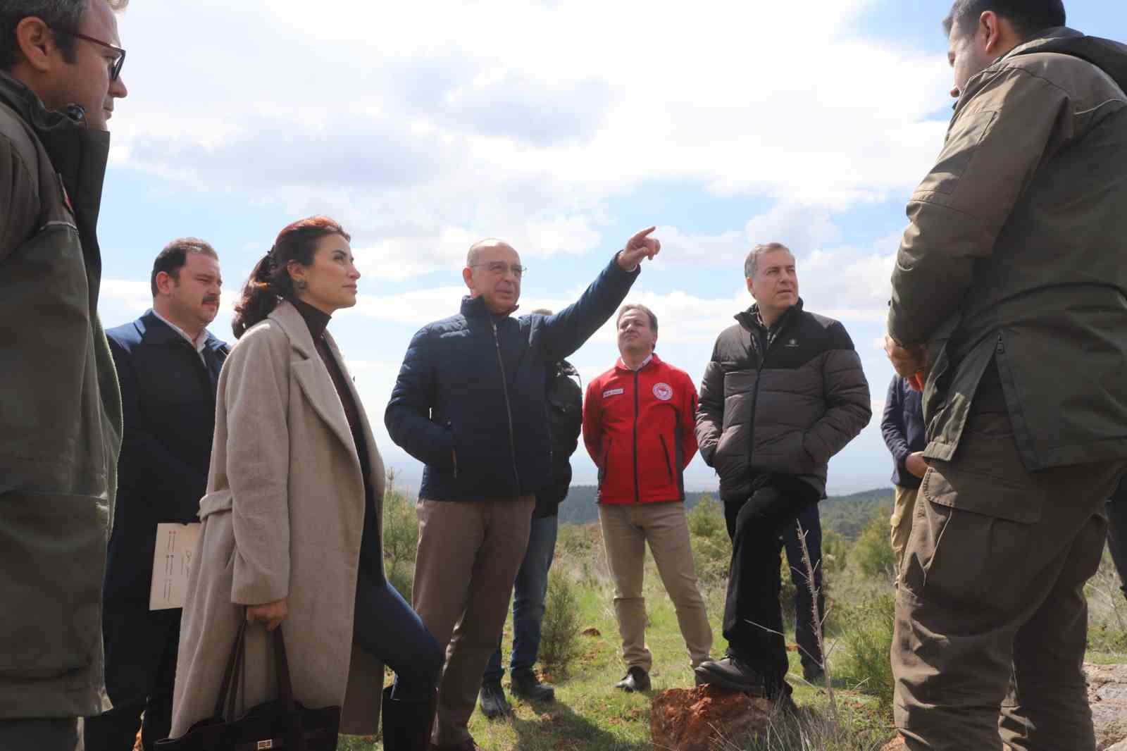 Sokak hayvanları i&ccedil;in &ouml;rnek proje
