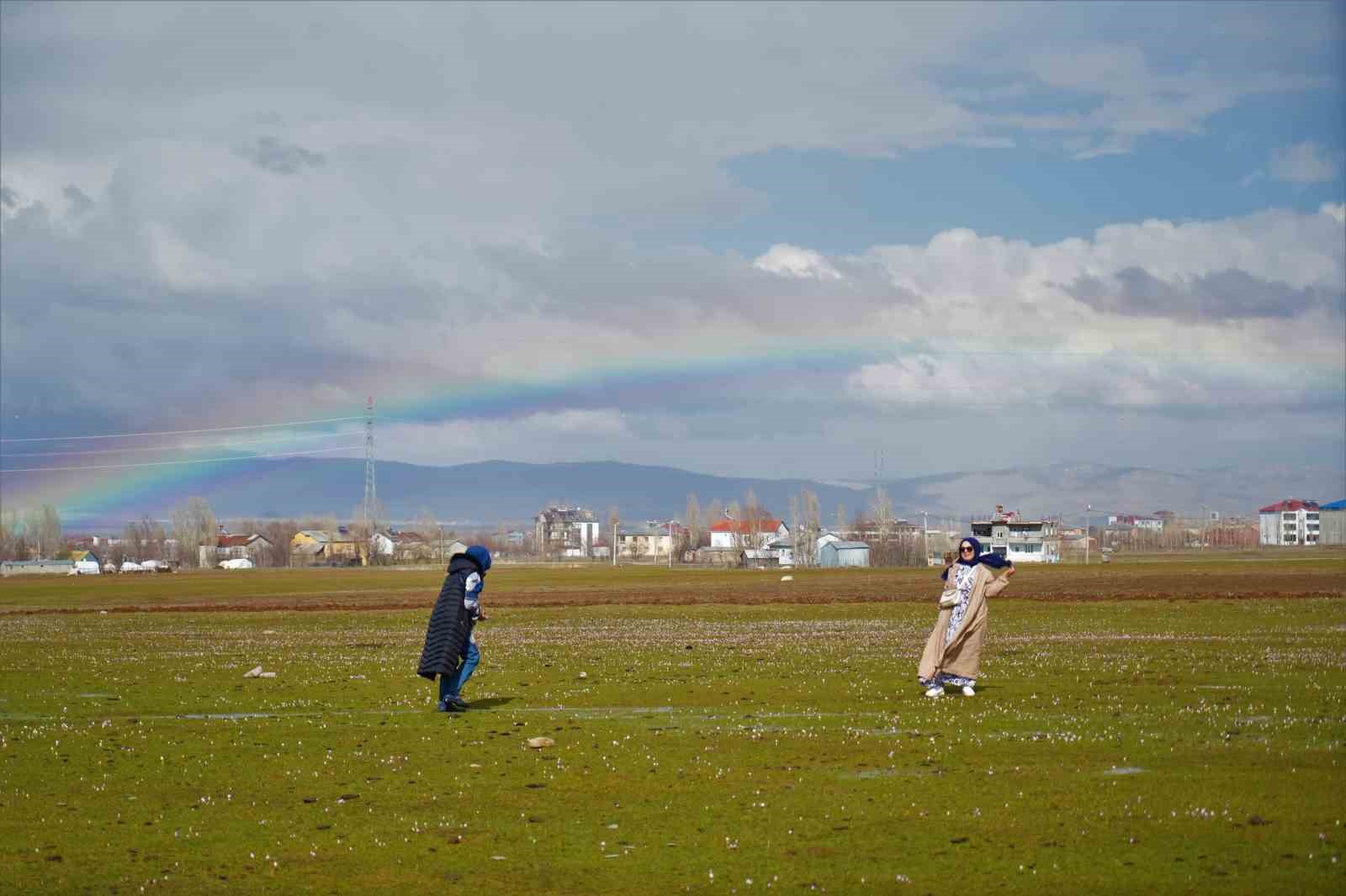 Muş Ovası&rsquo;nda baharın m&uuml;jdeleyicisi &ccedil;i&ccedil;ekler a&ccedil;tı
