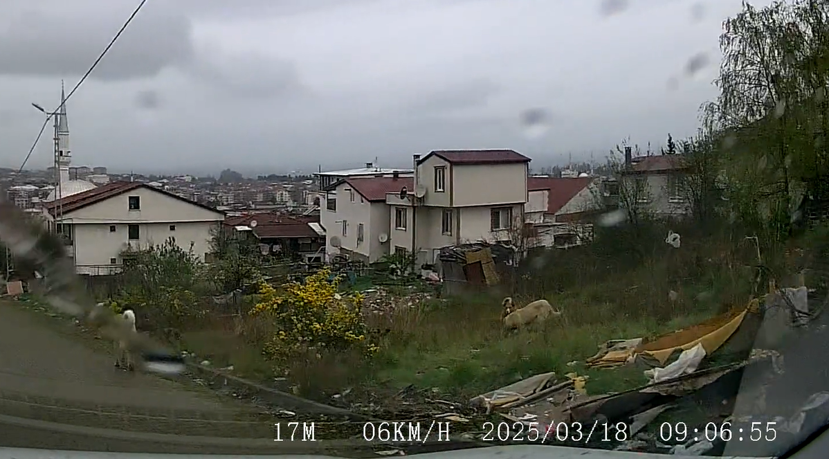 Yalova Valiliği: "Köpeklerin saldırısına uğrayan küçük yavrumuz için adli ve idari süreç başlatıldı"