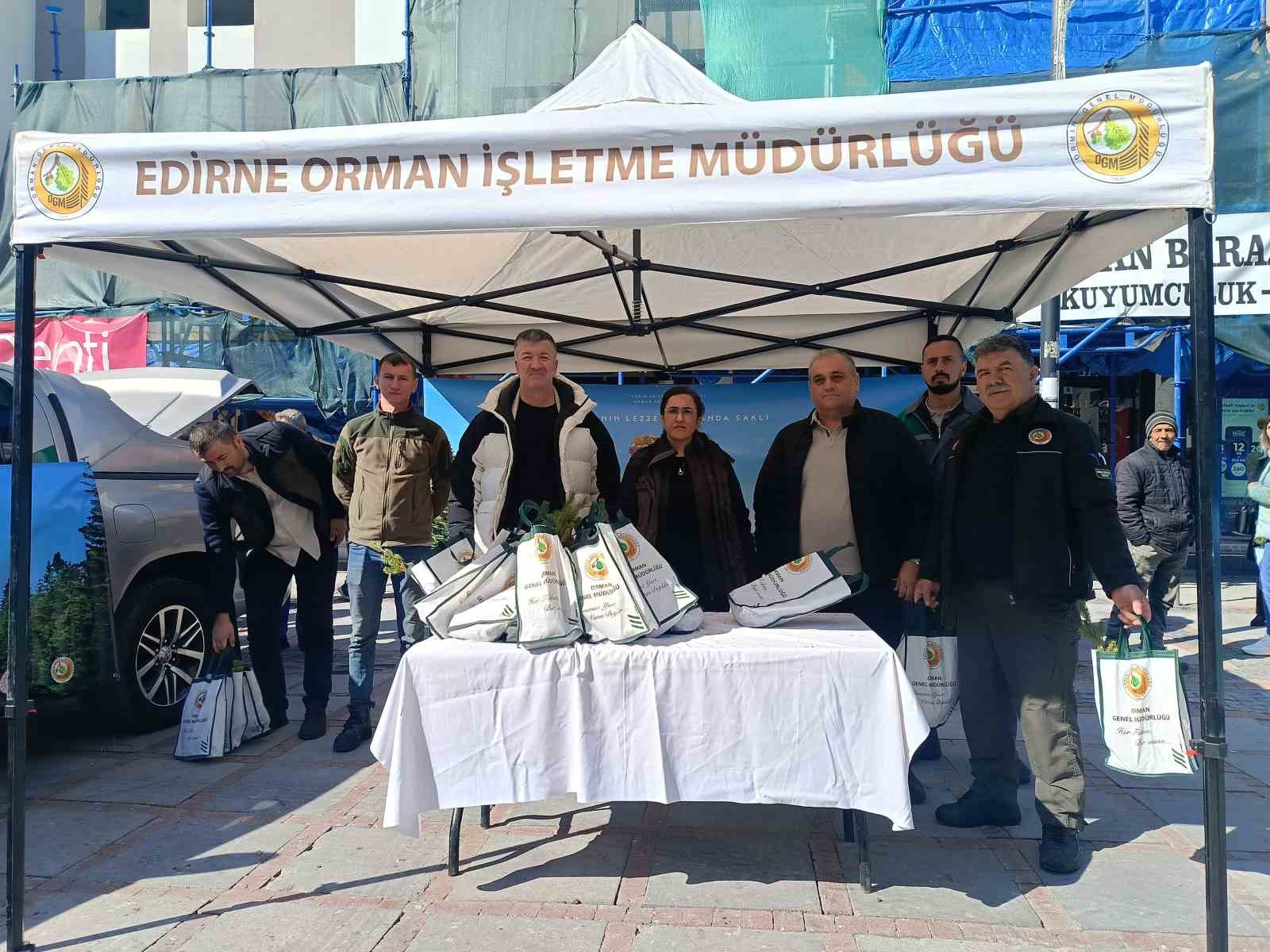 Edirne’de çam fidanı dağıtıldı