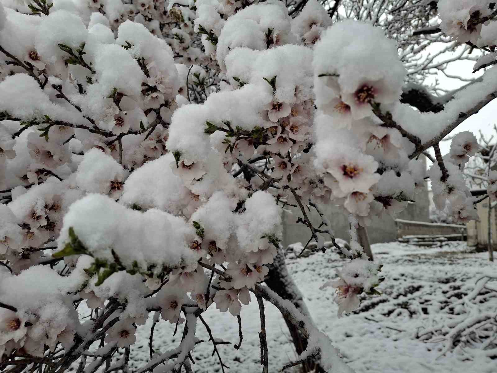Sincik ilçesinde yoğun kar yağışı
