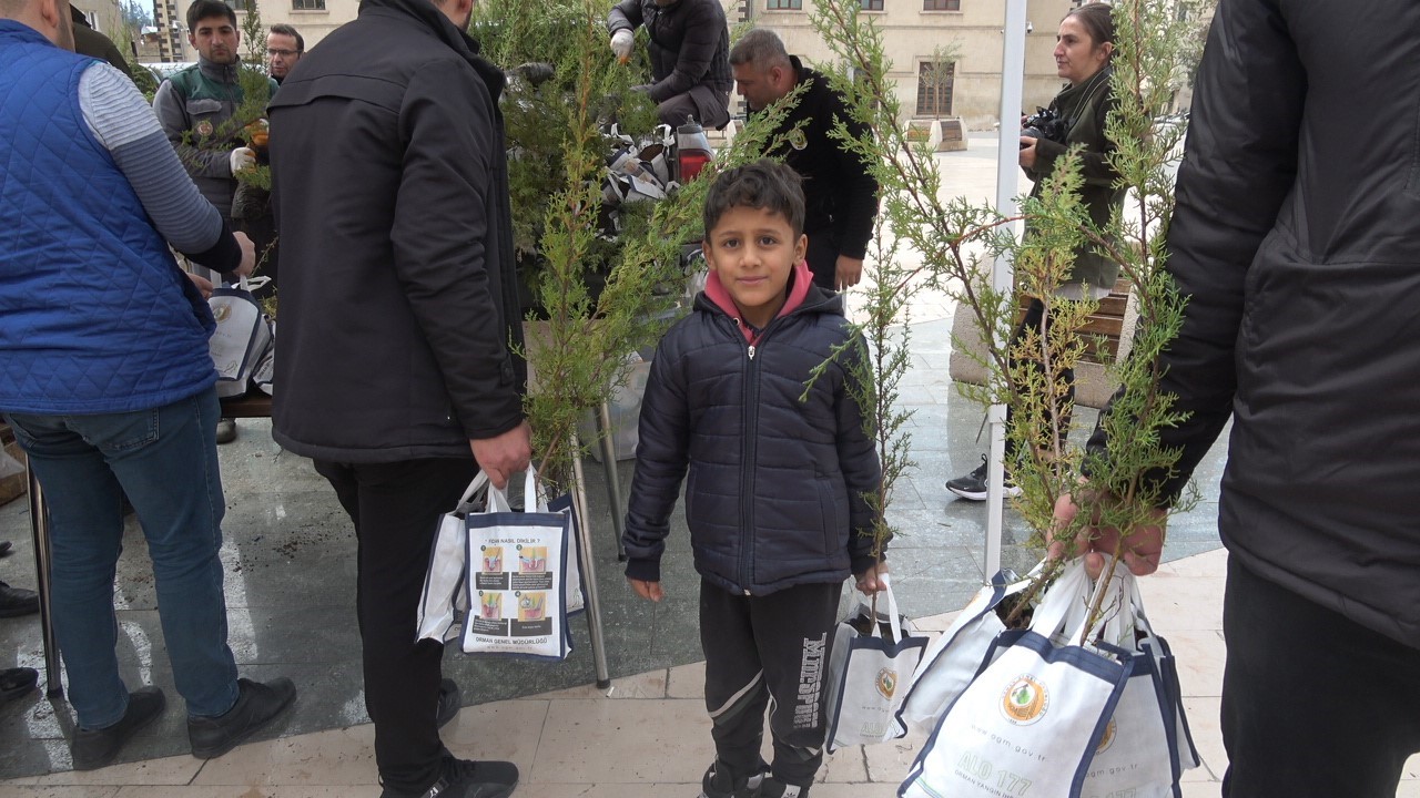 Dünya Ormancılık Günü’nde 5 bin servi fidanı dağıtıldı