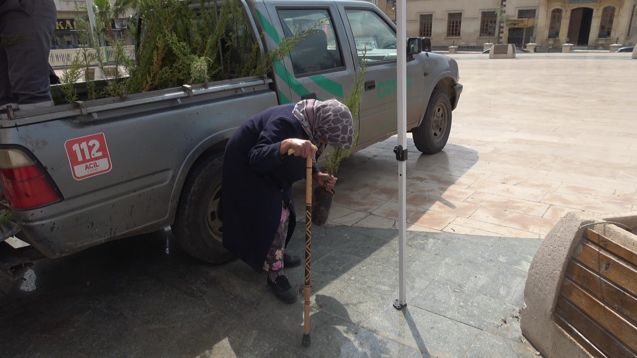 Dünya Ormancılık Günü’nde 5 bin servi fidanı dağıtıldı