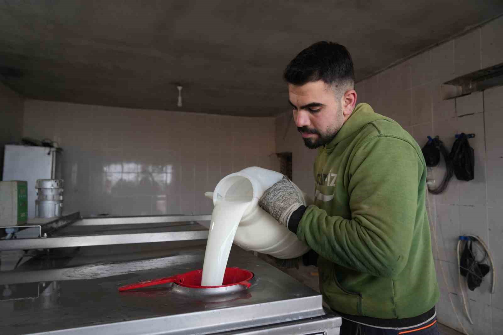 130 b&uuml;y&uuml;kbaş hayvan ile g&uuml;nl&uuml;k 1 ton s&uuml;t &uuml;retiliyor
