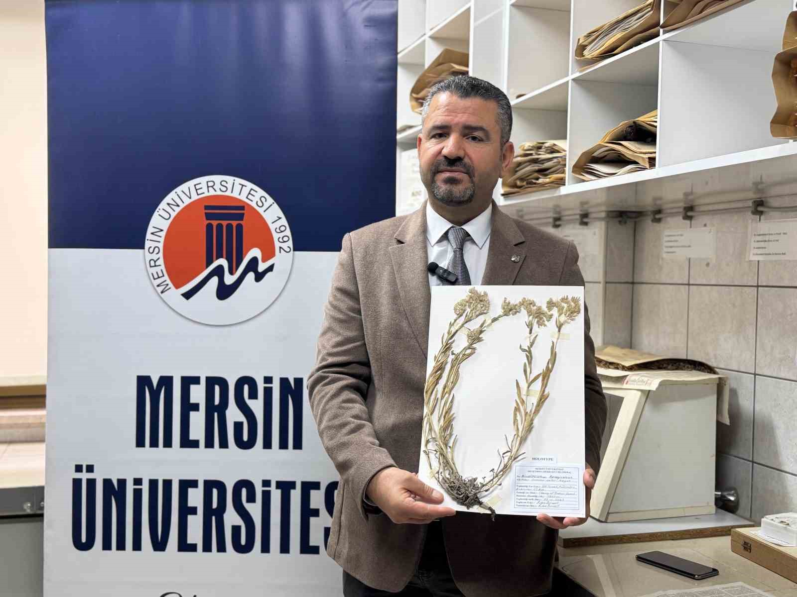 Yeni bitki türü keşfedildi:  Bitkiye hayatını kaybeden öğretim üyesinin adı verildi