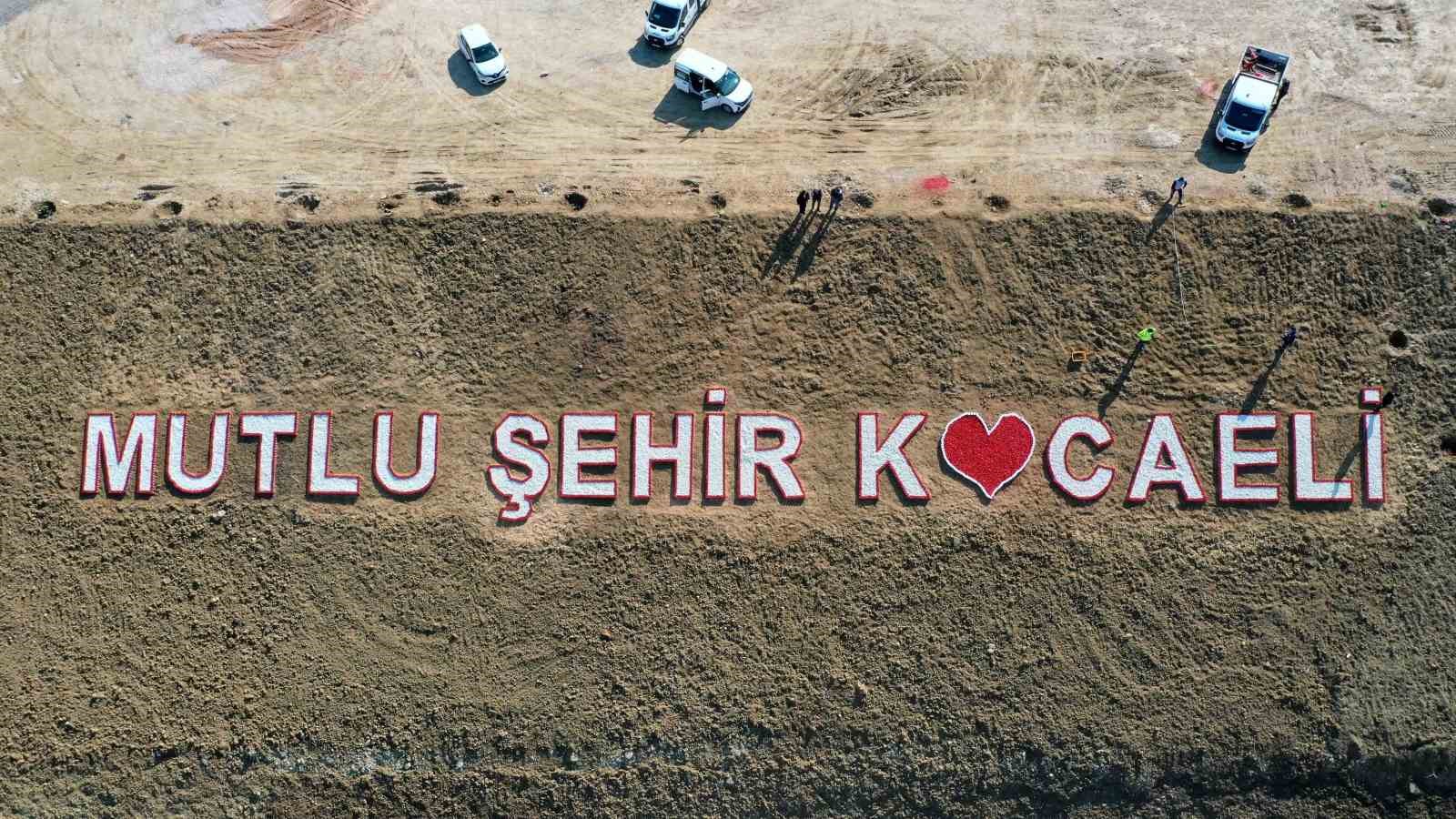 Şehir hastanesi bağlantı yoluna 200 Himalaya sediri dikildi
