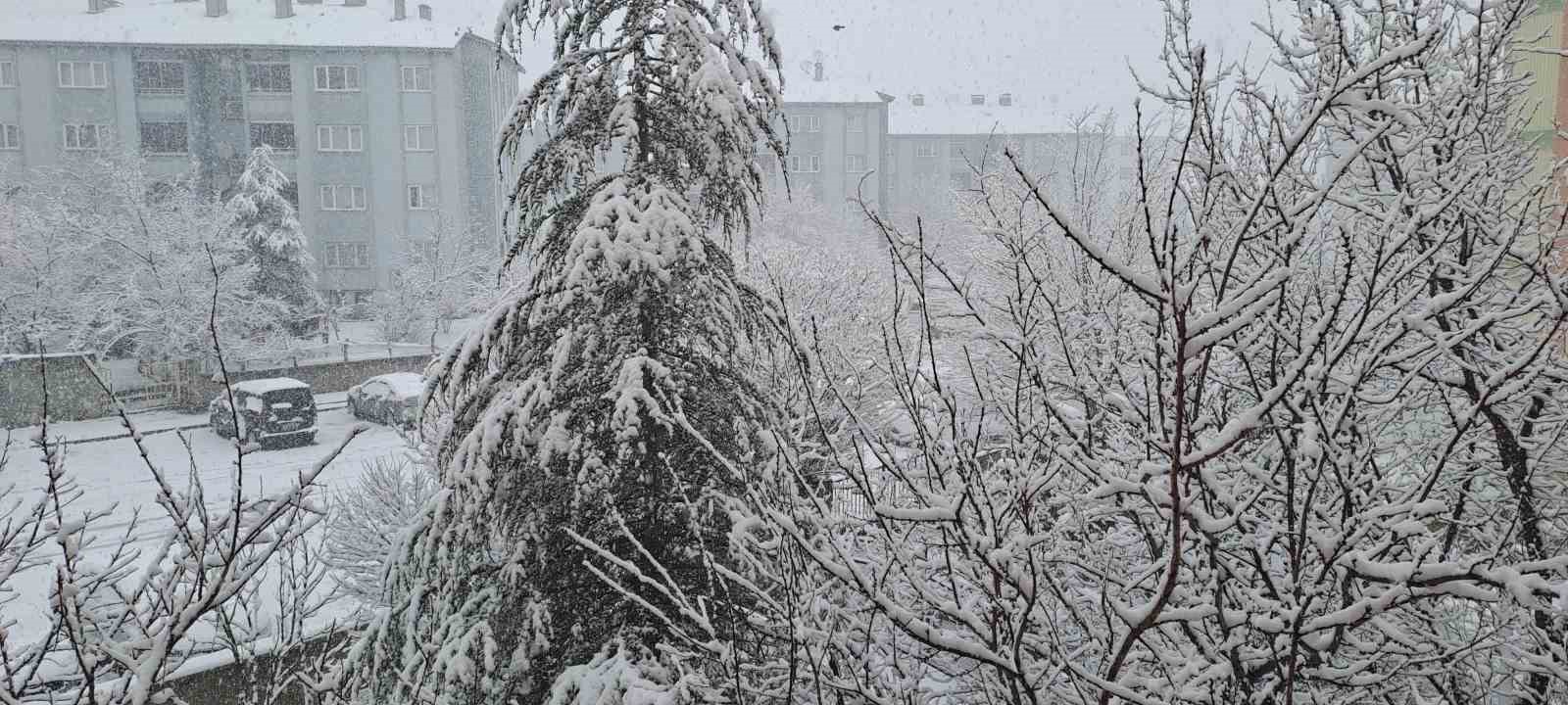 Bing&ouml;l g&uuml;ne karla uyandı
