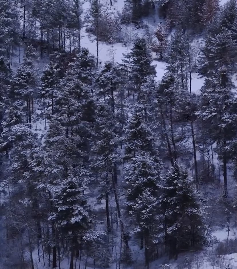 Baharda yağan kar yağlı boya tablosunu andırdı
