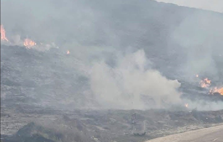 Avşa Adası’nda çıkan yangın kontrol altına alındı