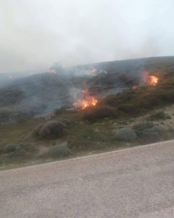 Avşa Adası&rsquo;nda &ccedil;ıkan yangın kontrol altına alındı
