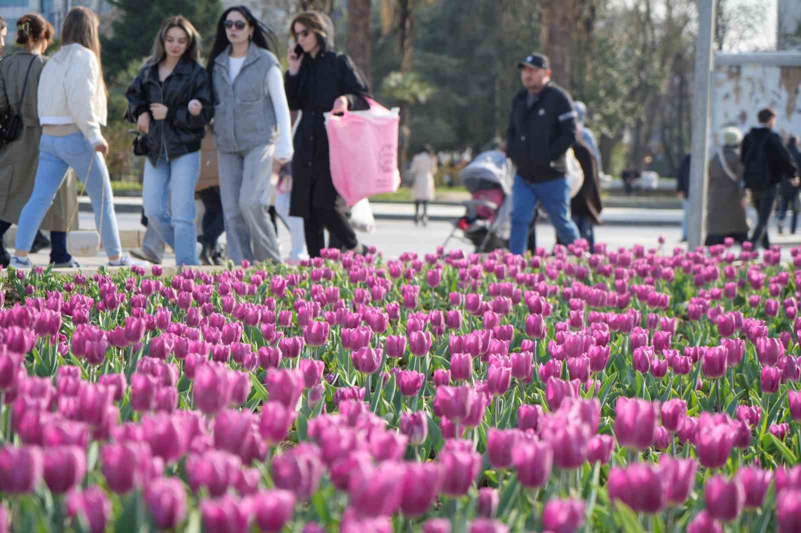 Samsun’da lale zamanı