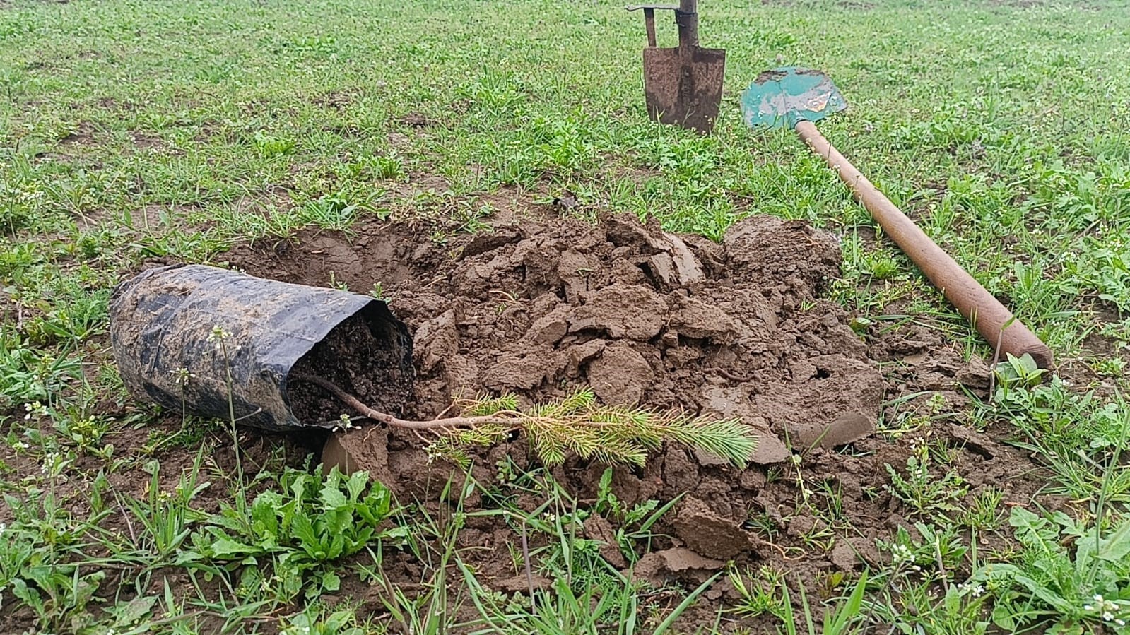 Edirne’de öğrencilere fidan dikme eğitimi verildi
