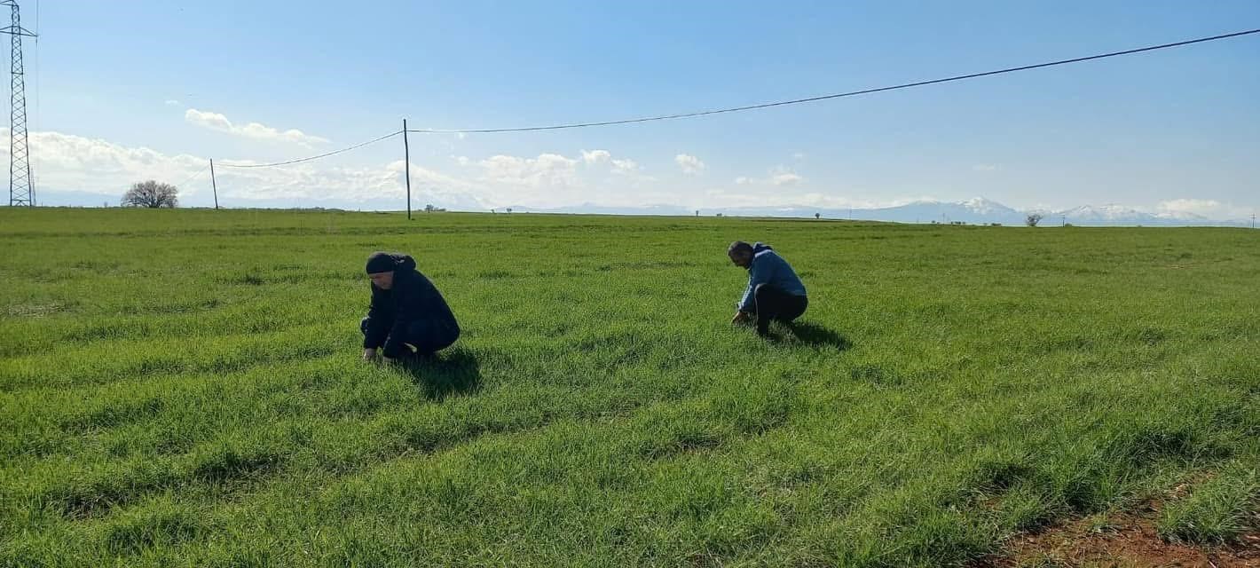 Beyşehir’de zirai don kontrolü yapıldı