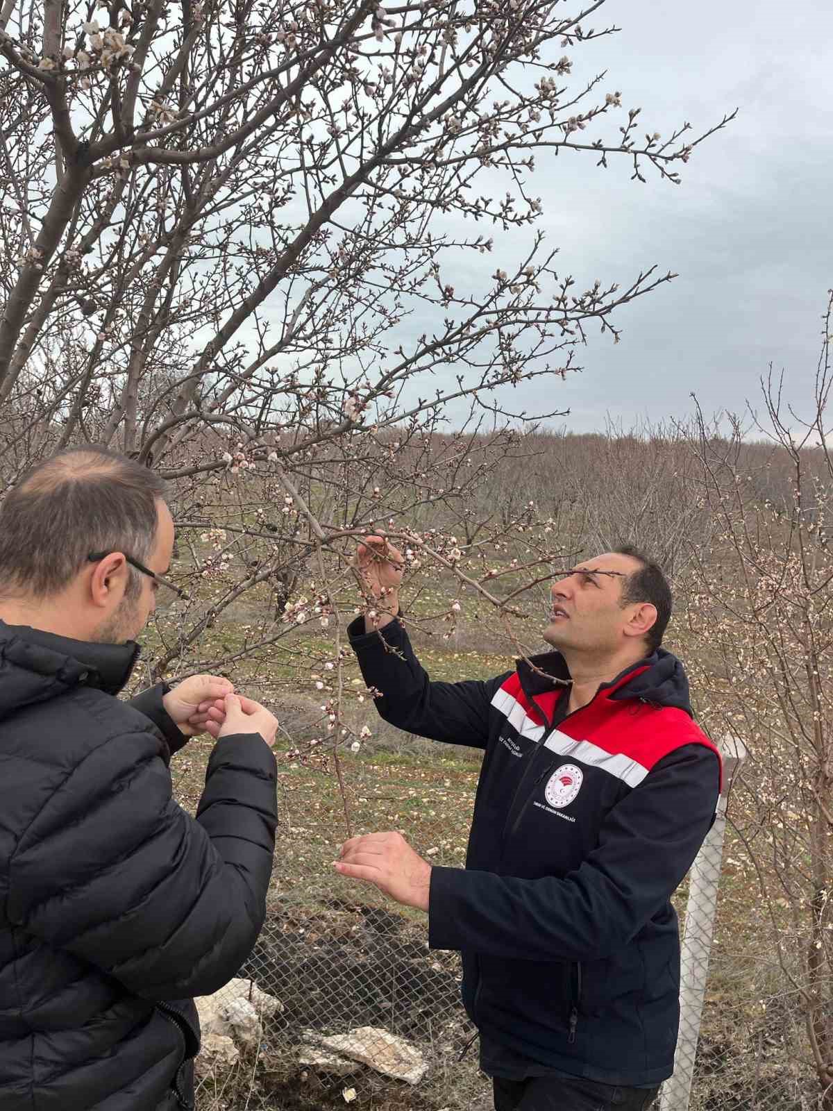 Beyşehir&rsquo;de zirai don kontrol&uuml; yapıldı
