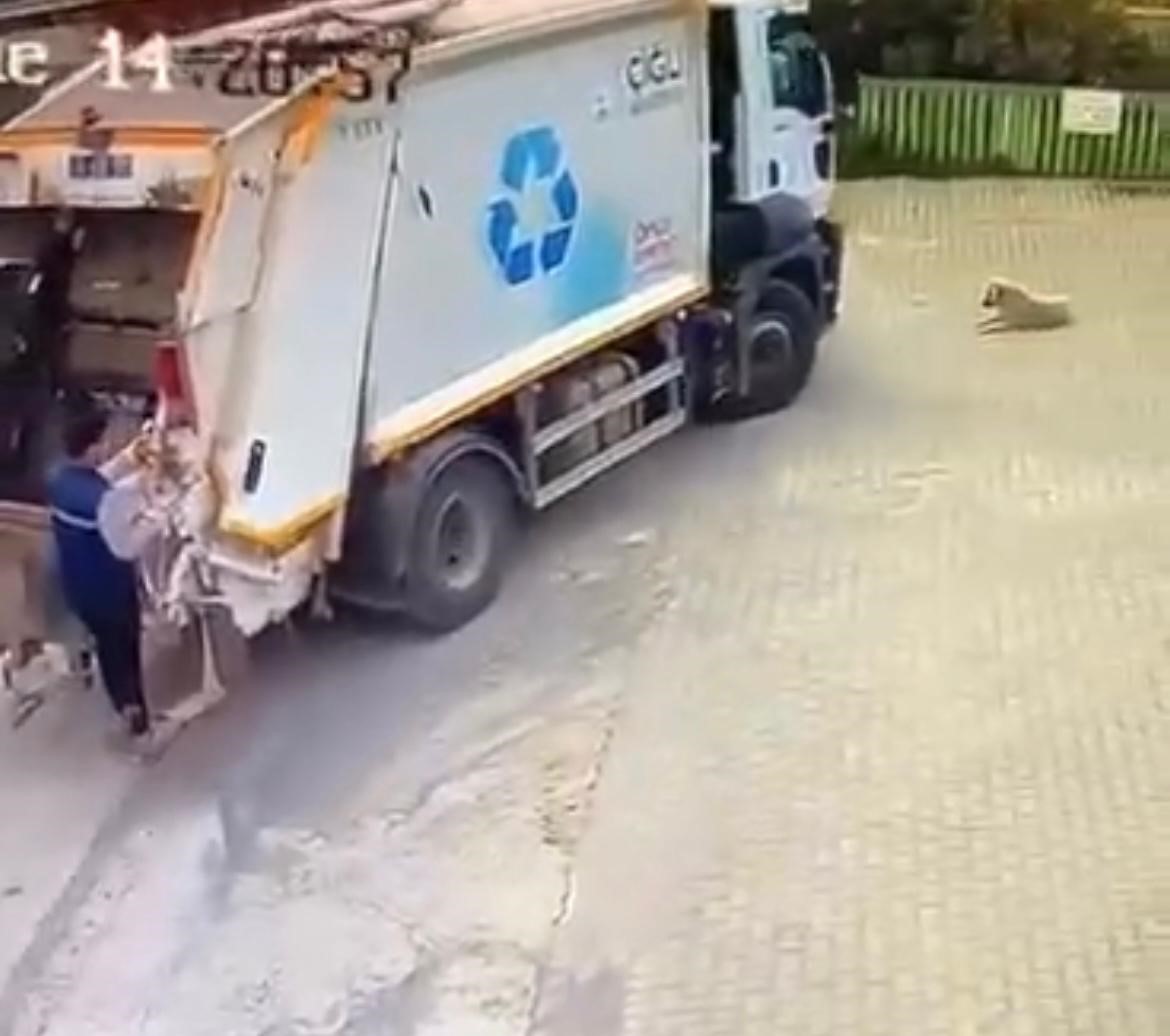 Çiğli Belediyesi çöp kamyonu köpeği ezdi, durmadan yoluna devam etti