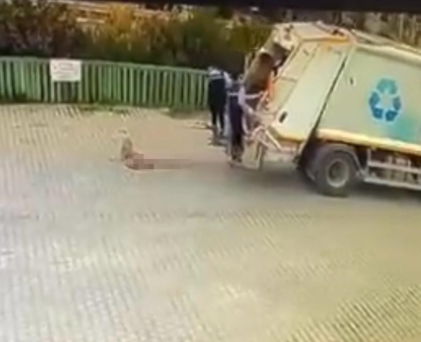 &Ccedil;iğli Belediyesi &ccedil;&ouml;p kamyonu k&ouml;peği ezdi, durmadan yoluna devam etti
