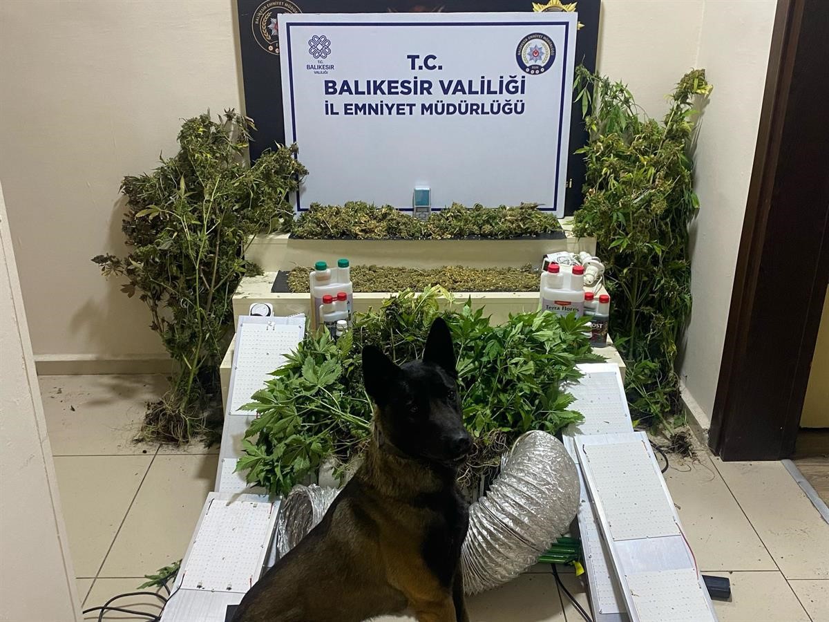 Bandırma’da zehir tacirlerine geçit yok: 1 gözaltı