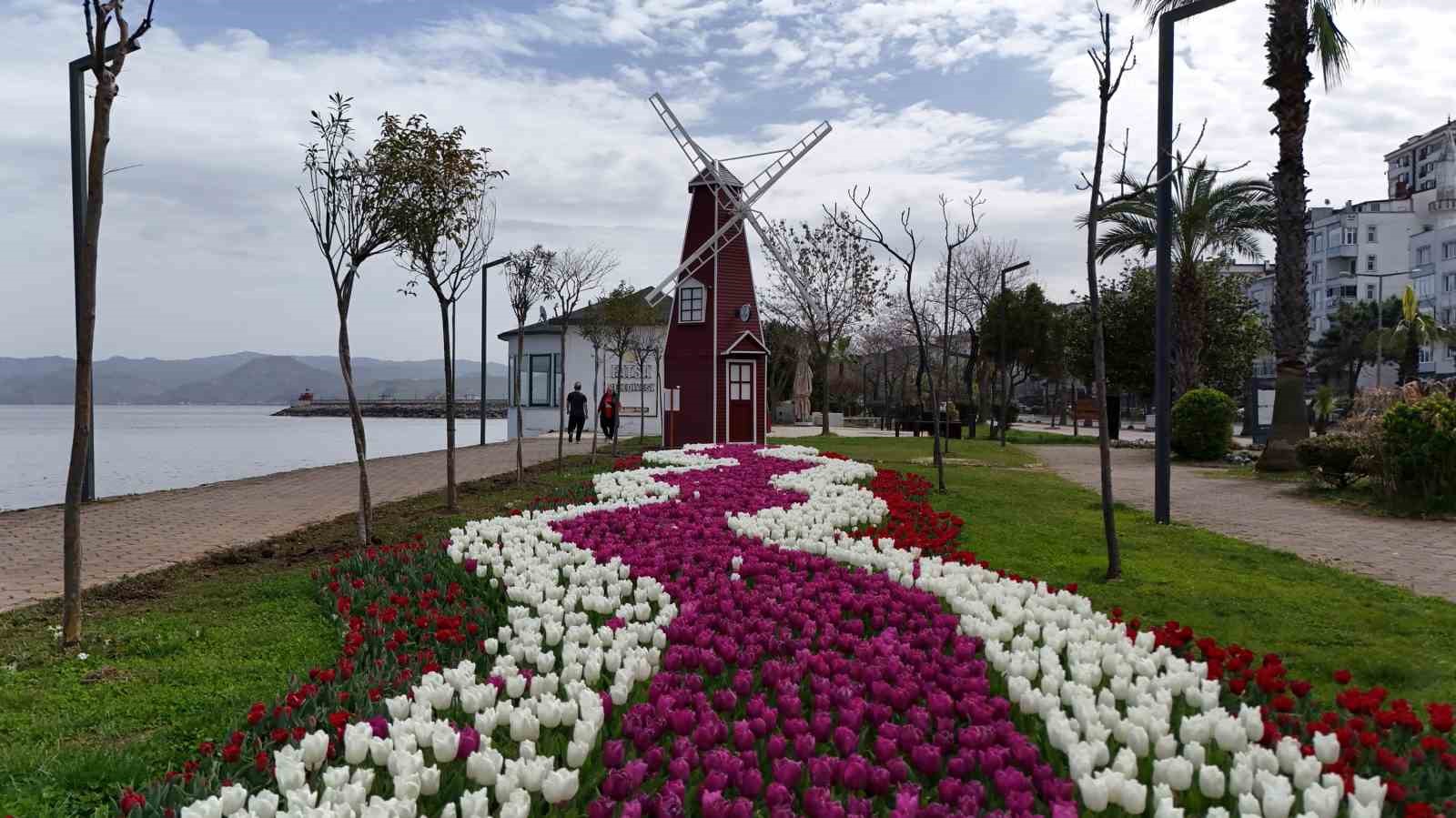 Ordu’da lale devri