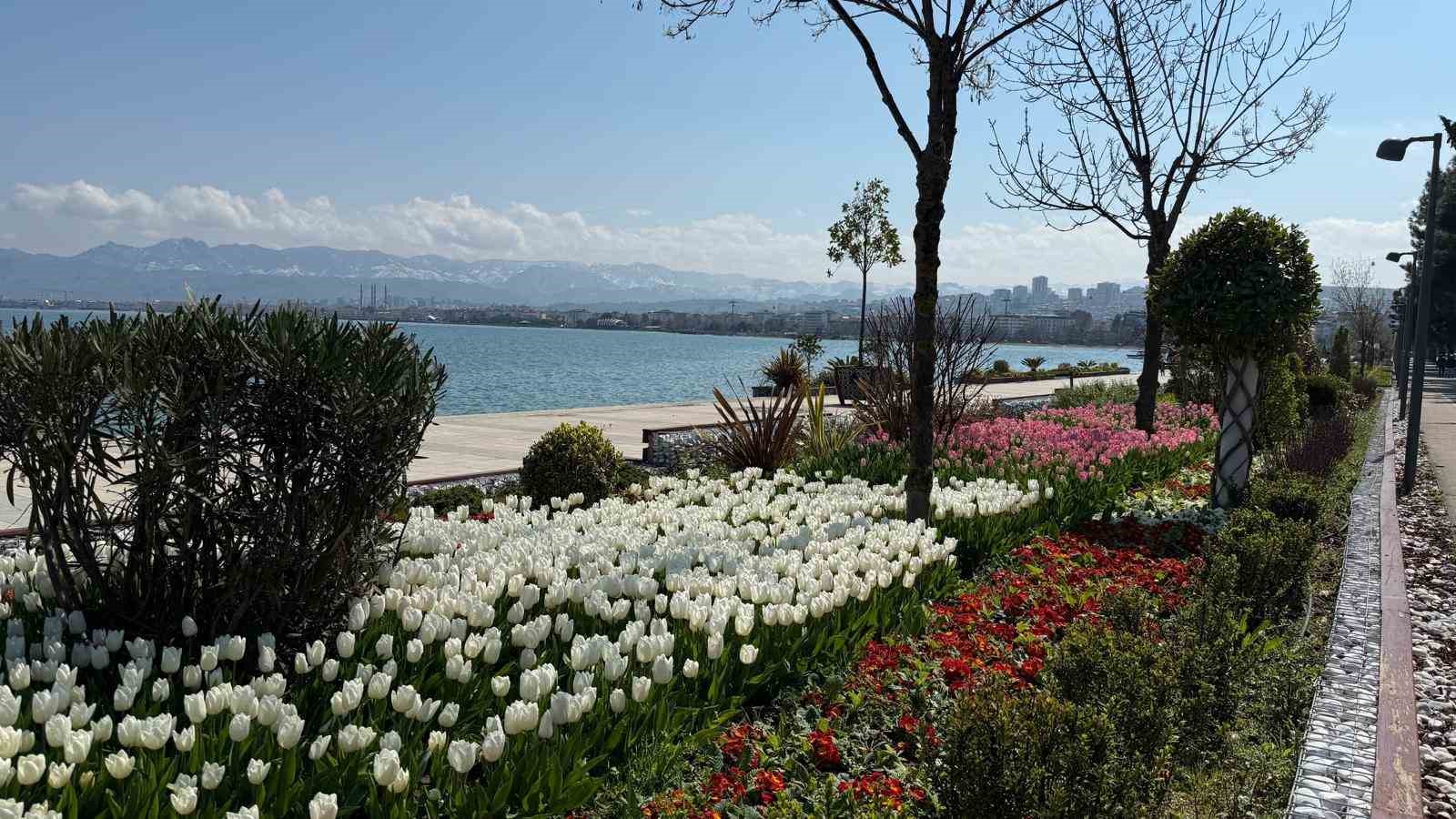 Ordu&rsquo;da lale devri
