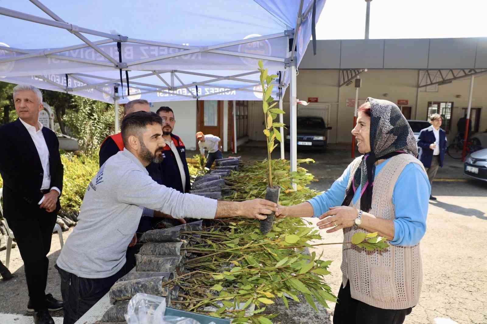 Mezarlıklarda fidan dağıtımı
