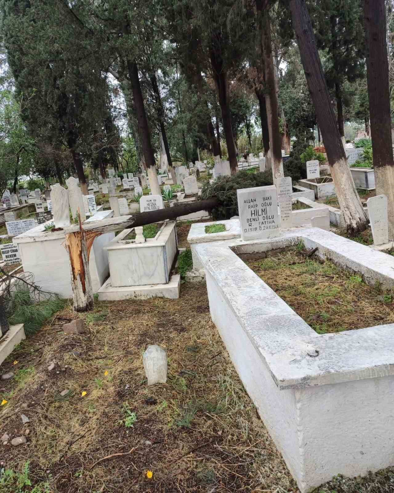 İncirliova’da mezarlıklarda devrilen ağaçlar kaldırılıyor