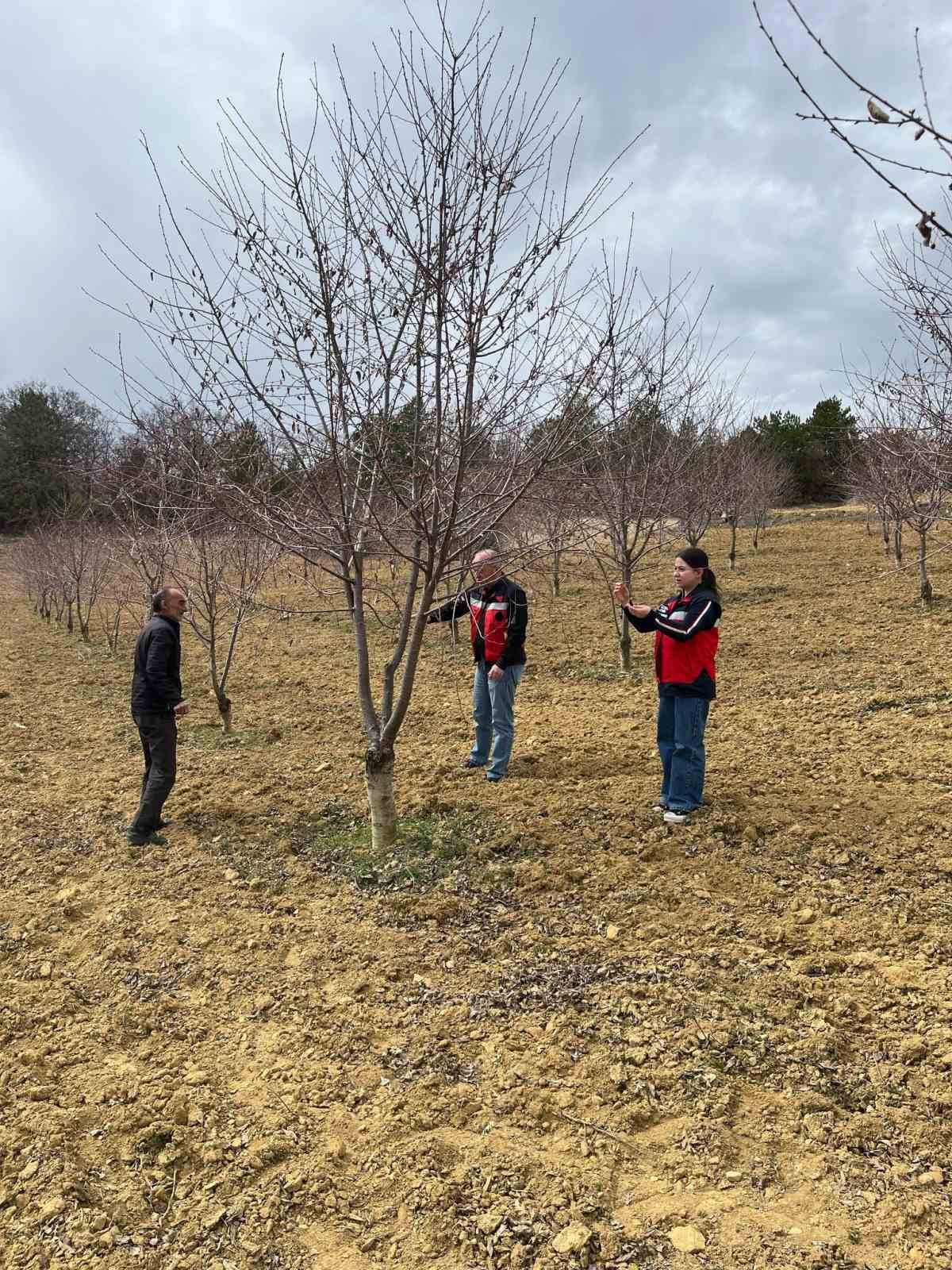 Kütahya Tarım ve Orman İl Müdürlüğü’nden çiftçilere monilya hastalığı uyarısı