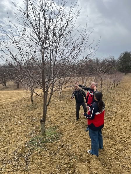 Kütahya Tarım ve Orman İl Müdürlüğü’nden çiftçilere monilya hastalığı uyarısı