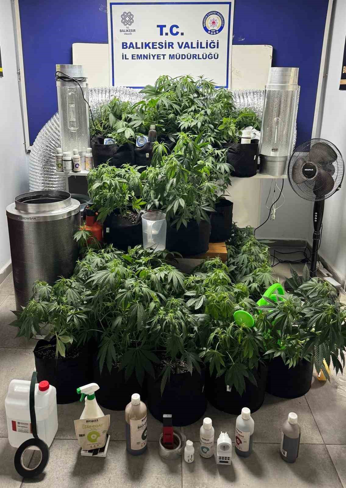 Ayvalık&rsquo;ta uyuşturucu operasyonunda 28 k&ouml;k kenevir ele ge&ccedil;irildi
