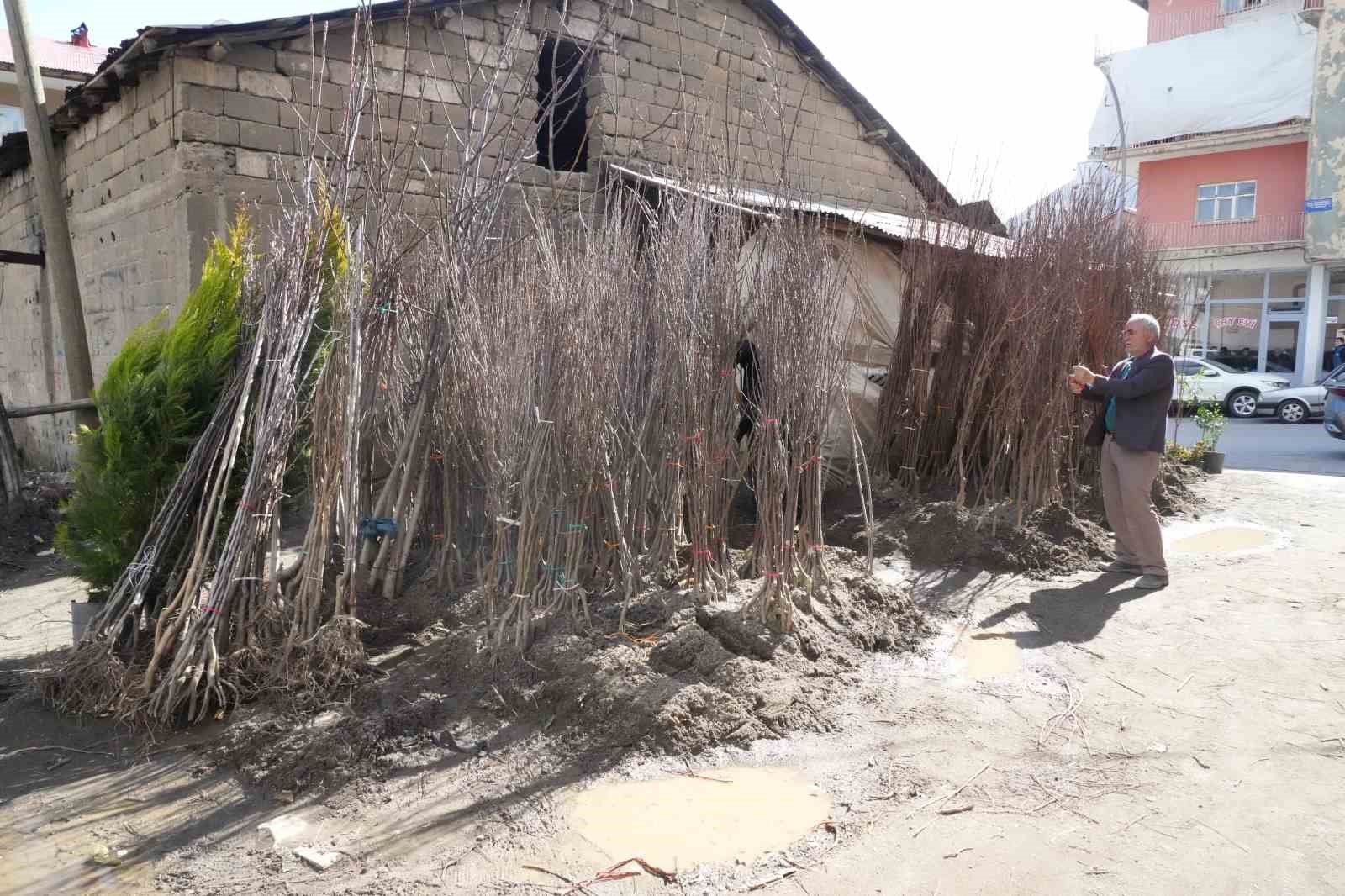 Muş’ta meyve fidanları satışa çıktı