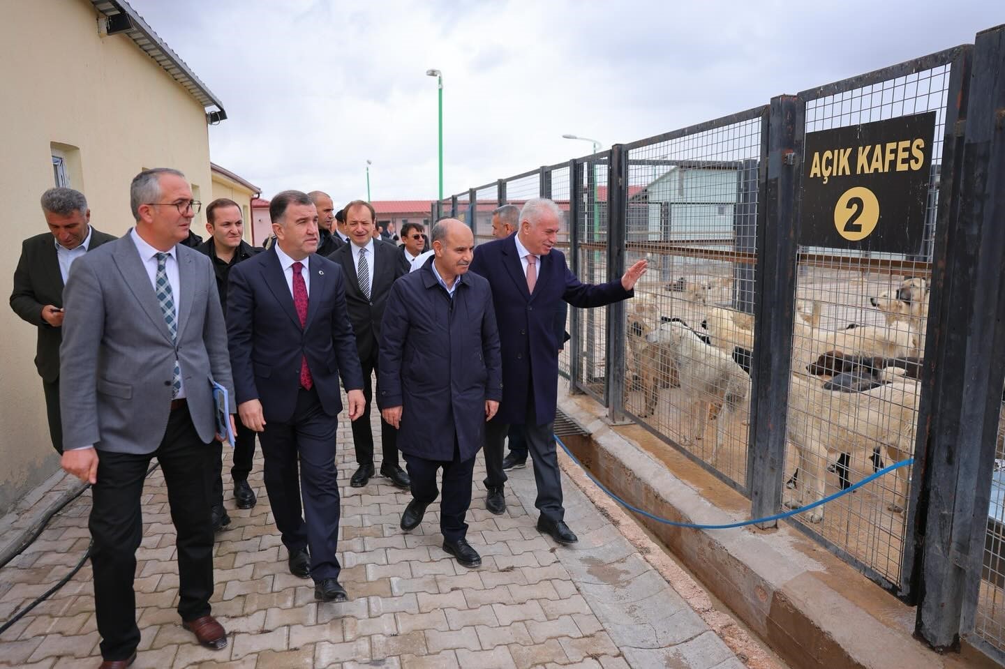 İ&ccedil;işleri Bakan Yardımcısı Aktaş, Sokak Hayvanları Bakım Merkezi ve Doğal Yaşam Alanı&rsquo;nı inceledi
