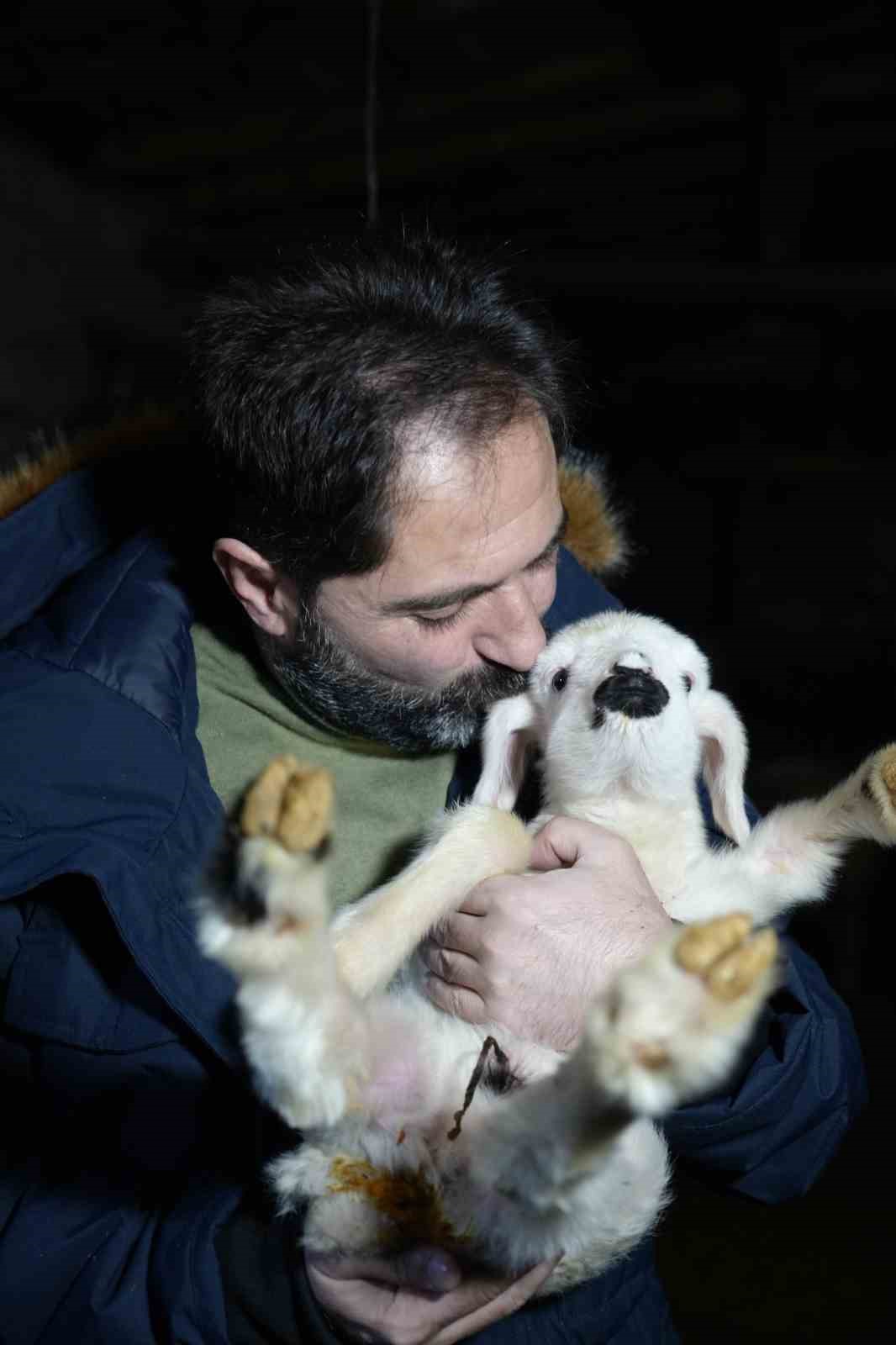 Besiciler oğlak ve kuzuları b&uuml;y&uuml;tme telaşında
