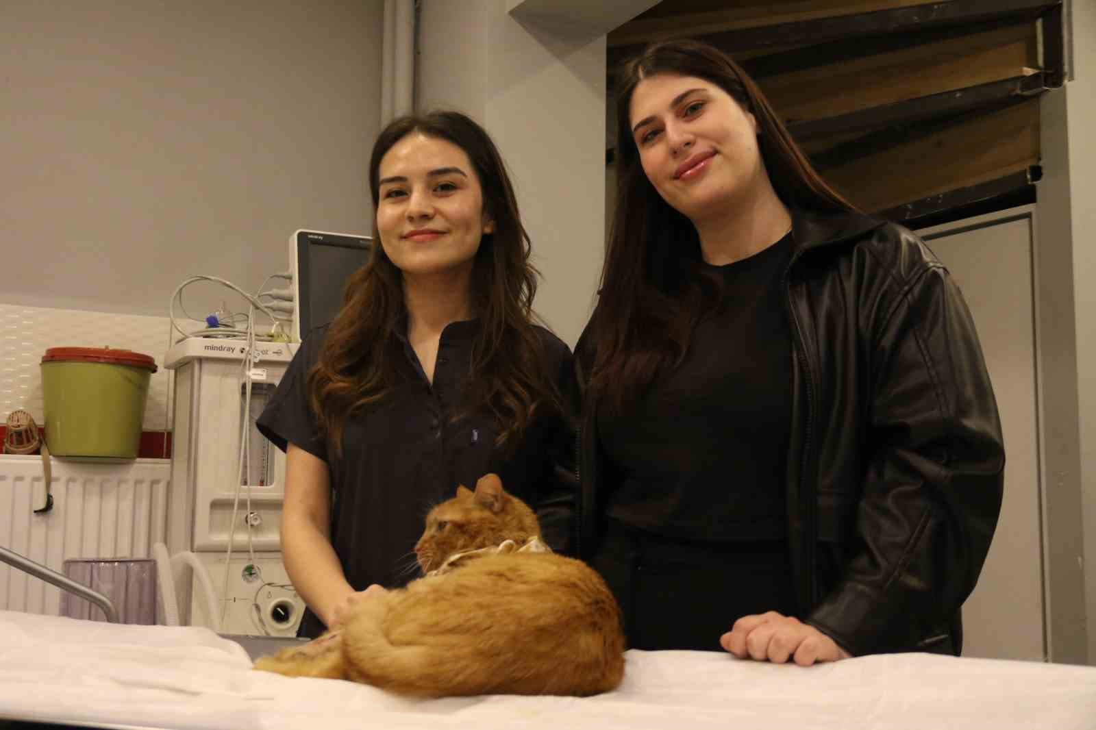 Sıkıştığı motorda bir ayağını kaybeden kediyi üniversite öğrencisi sahiplendi