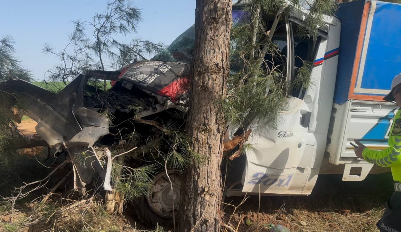 Kamyonet ağaca çarptı, sürücü yaralandı
