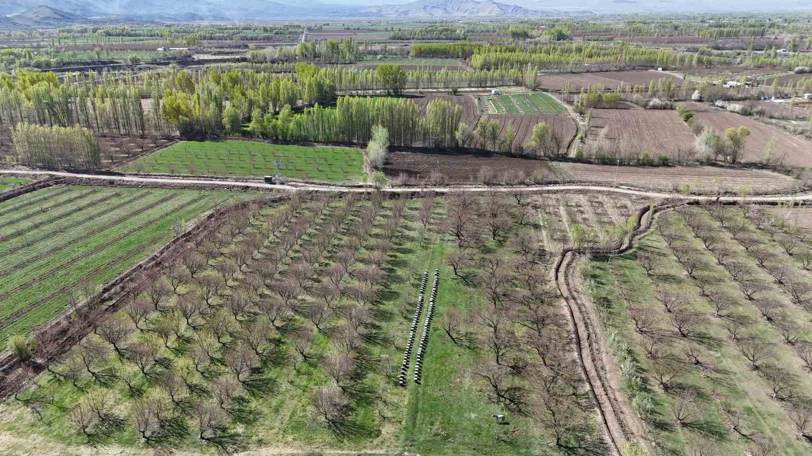 Iğdır&rsquo;daki İrem Bağları&rsquo;nda ilkbahar renkleri
