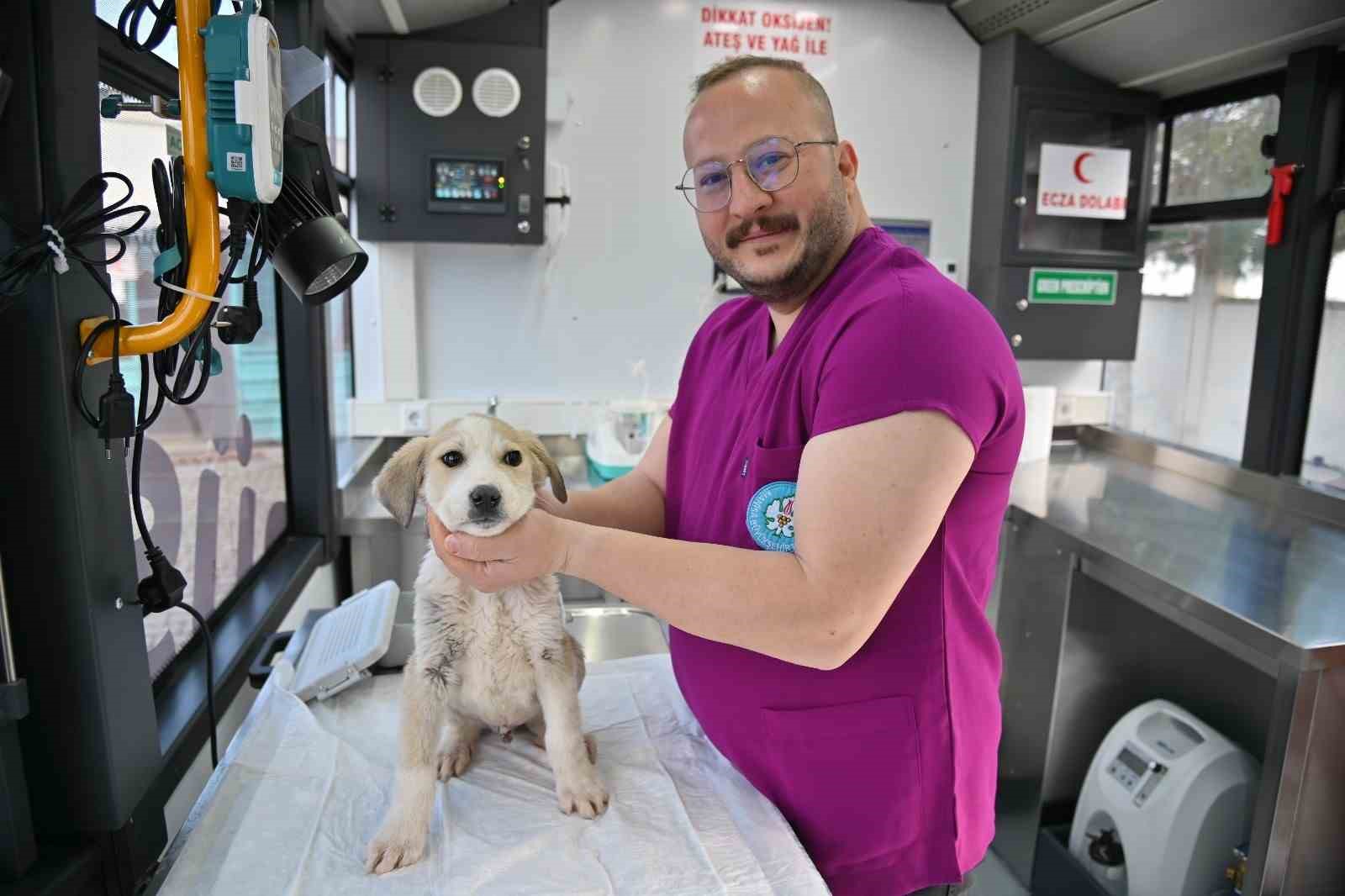 Büyükşehir’in Vetbüs projesi hizmete başladı