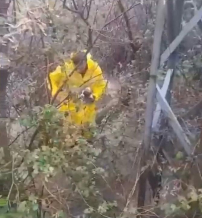 Dere yatağında mahsur kalan 4 yavru köpeği itfaiye kurtardı