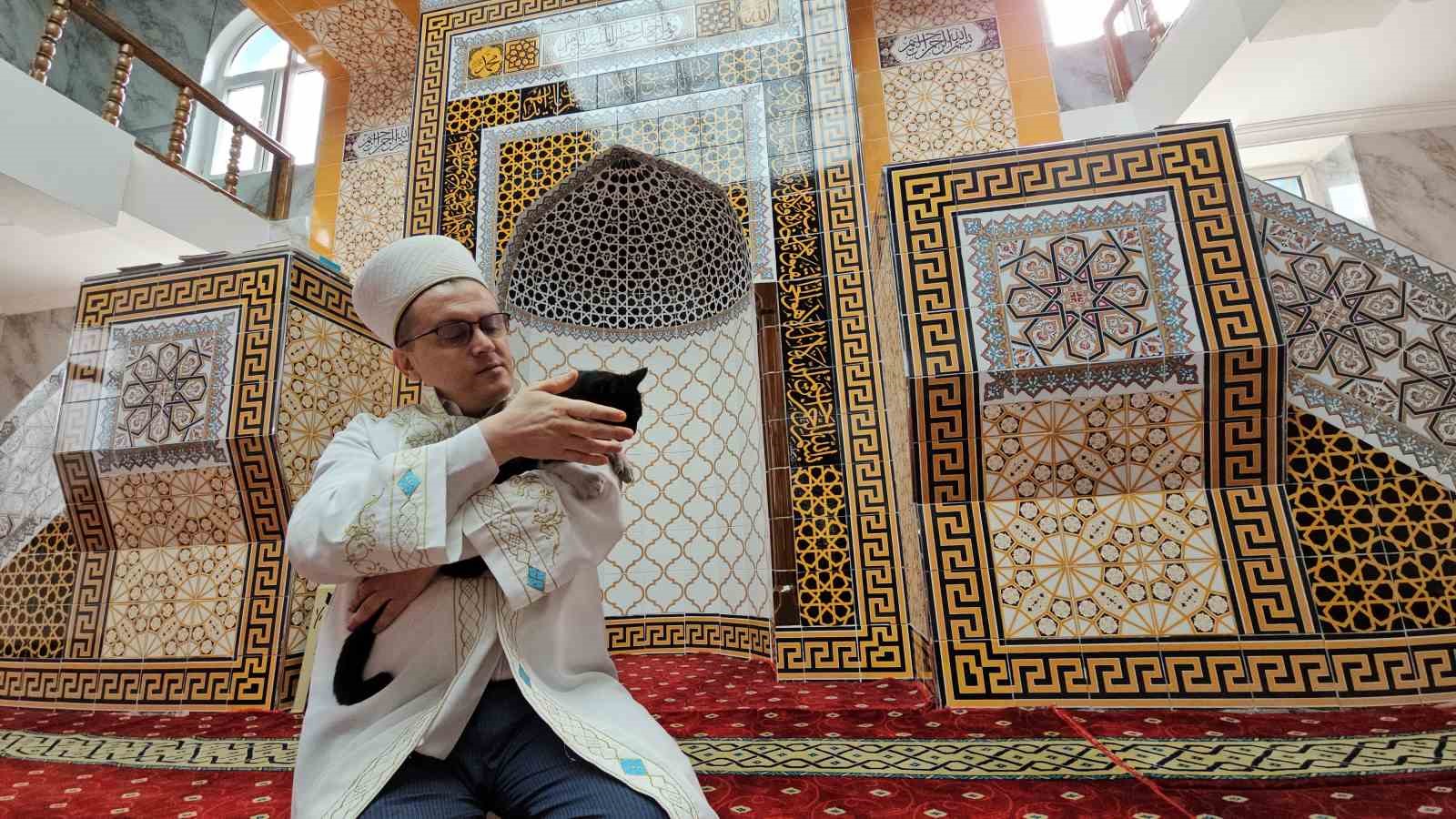 Camideki sadakat; kedisi Lola imamla beş vakit camiye geliyor