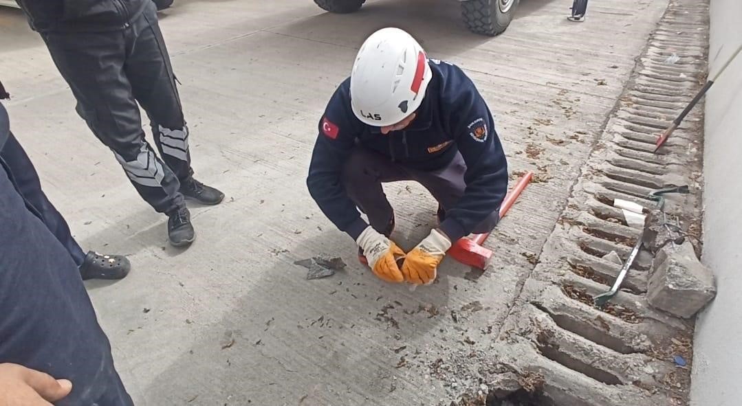 Şanlıurfa’da mazgala düşen yavru kedi kurtarıldı