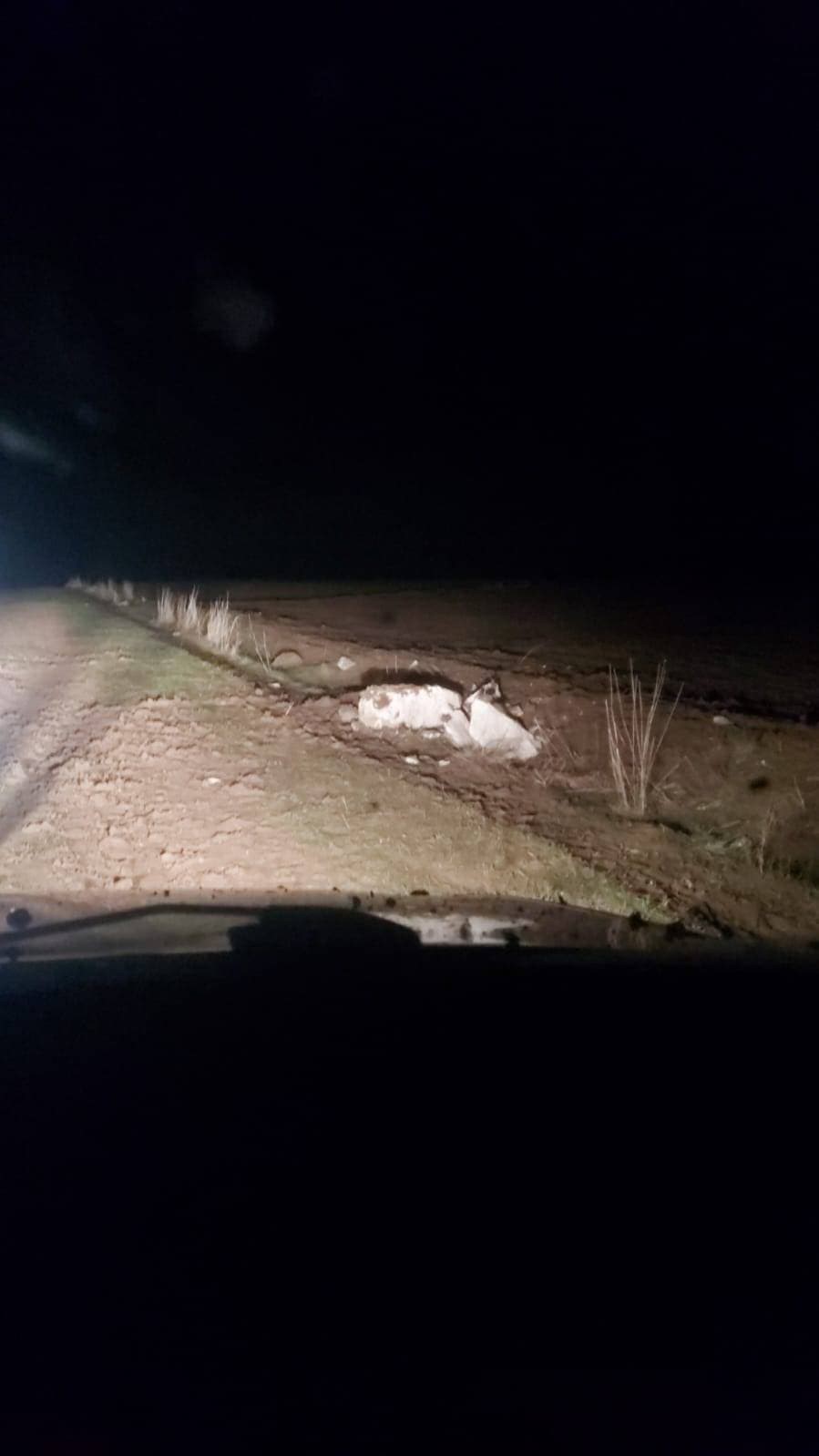 Define avcıları Tiktok&rsquo;tan yakayı ele verdi
