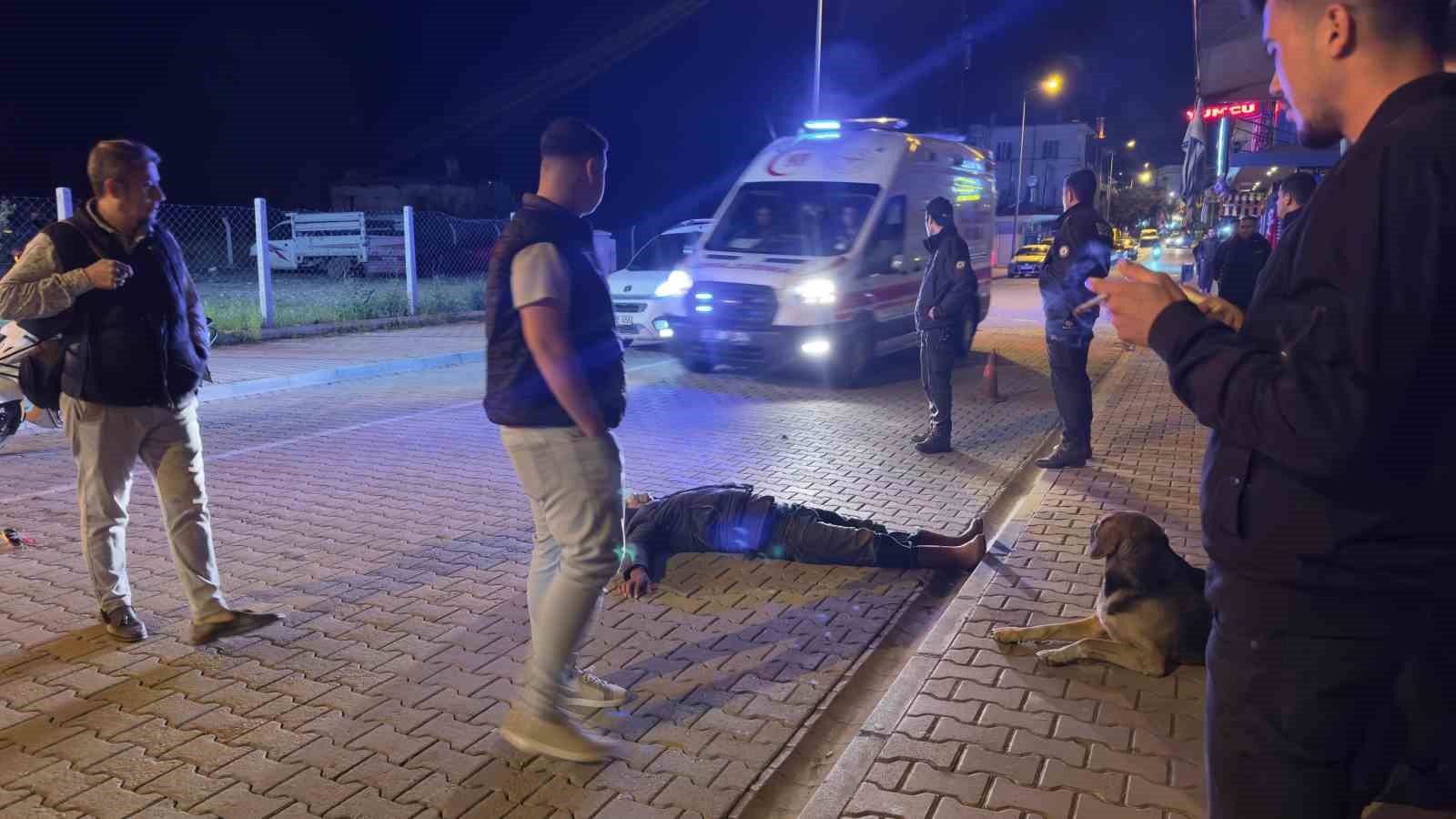 Alkol komasına giren vatandaşı sokak köpeği yalnız bırakmadı