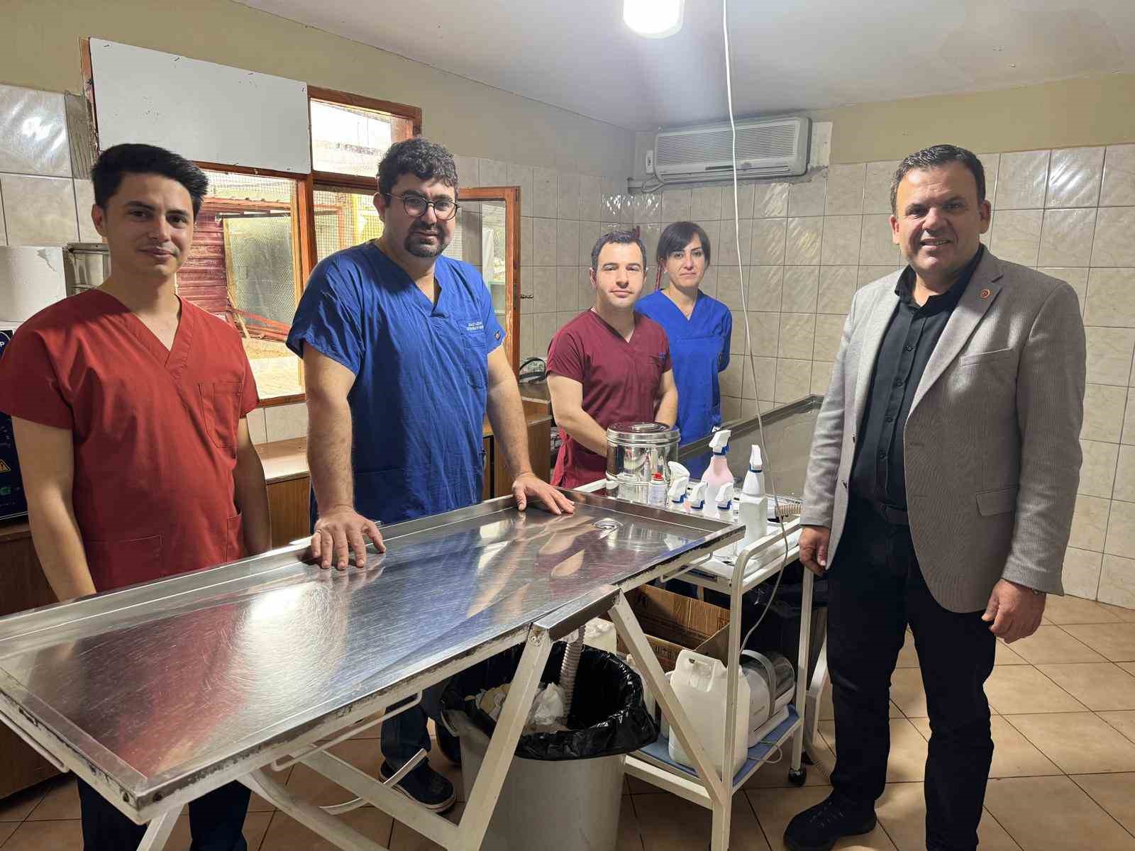 Kemer&rsquo;de sokak hayvanlarına destek &ccedil;ağrısı
