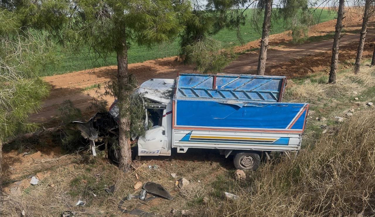 Kamyonet ağaca çarptı, sürücü yaralandı