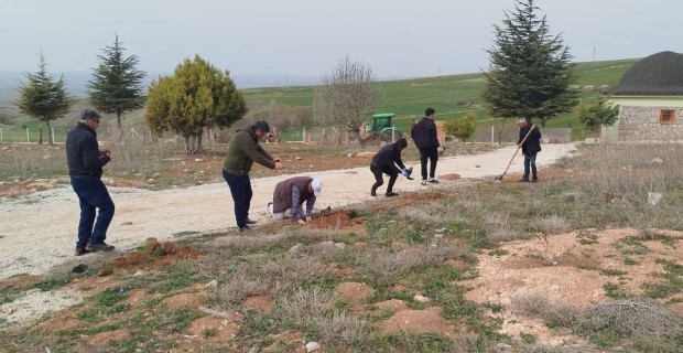 Vatandaşlar bir araya gelip köylerine fidan diktiler